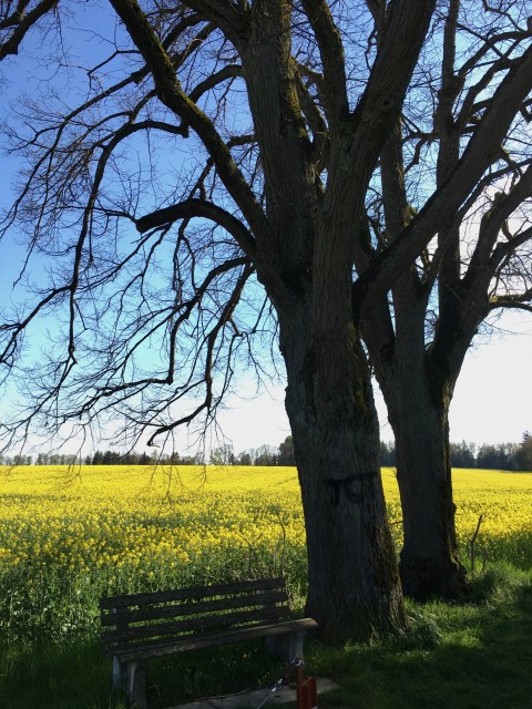 Beten ist das Gegenteil von Fanatismus und Intoleranz