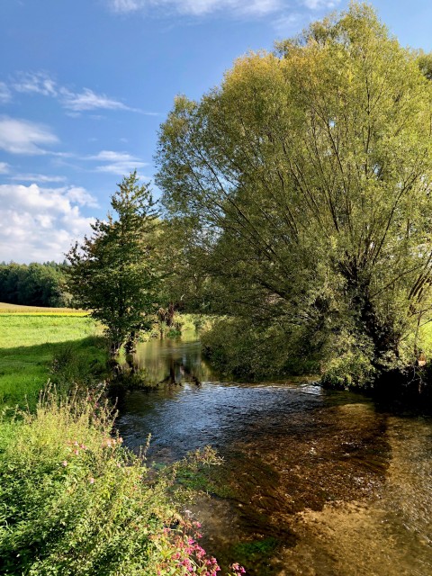 "Ich glaube, hilf meinem Unglauben"