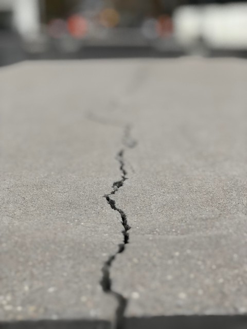 Kain und Abel und die Wut derer, die sich vernachl&auml;ssigt f&uuml;hlen