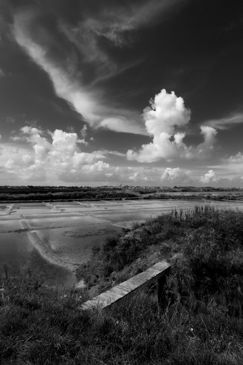 Gericht? Barmherzigkeit!