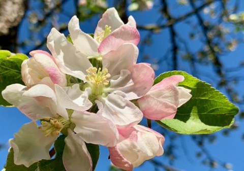 Ostern in zwei Worten