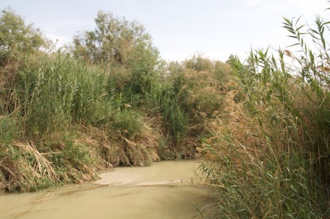 Wirklich ein Mensch!