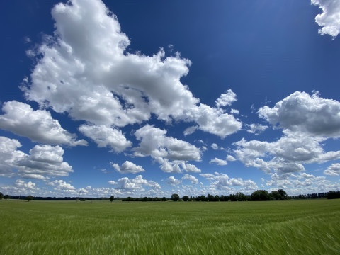Schmerzliche Erfahrung und trotzige Hoffnung