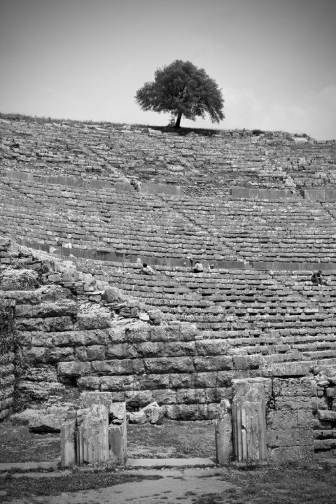 Kleine streits&uuml;chtige G&ouml;tter