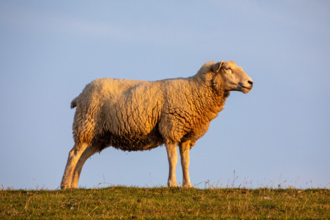 Jeder und jede z&auml;hlt