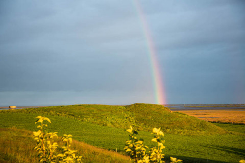 Fr&uuml;her war alles besser. Oder?