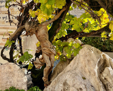 Kann man Trost lernen?