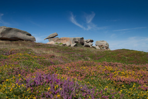 ... der werfe den ersten Stein