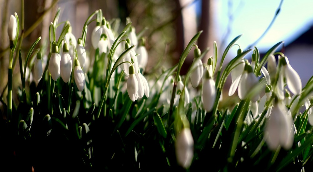 Lange kann es nicht mehr dauern